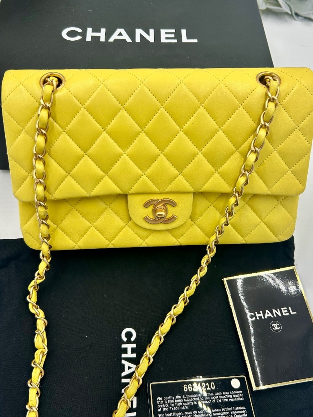 Women’s Chanel Classic Quilted Double Flap Bag